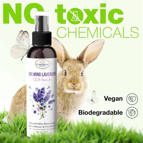 Top 8 Ingredients and Recipes for Natural Bug Spray - The Crown Choice