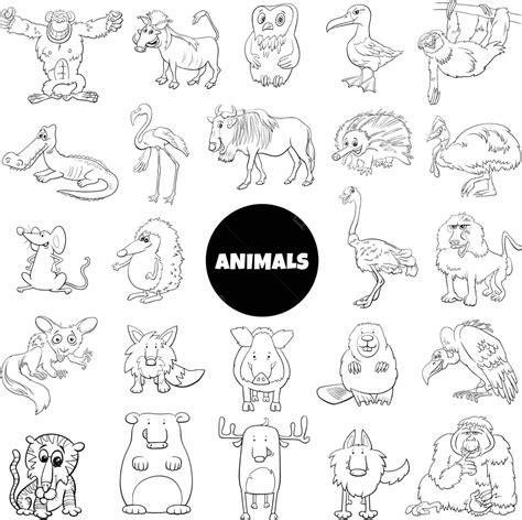 Extensive Collection Of Black And White Animated Wild Animal Characters ...