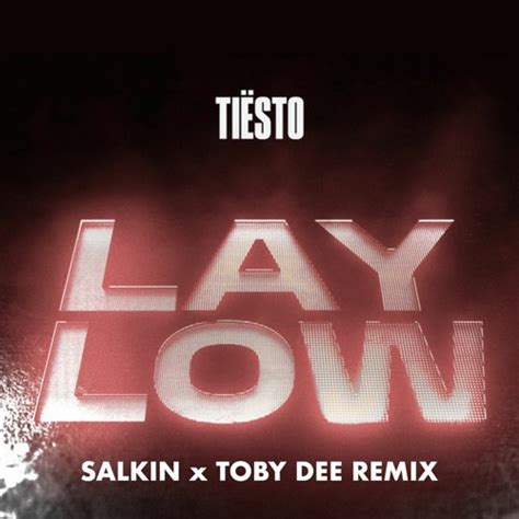 Stream Tiësto - Lay Low (Salkin & Toby DEE Remix) [Free Download ...