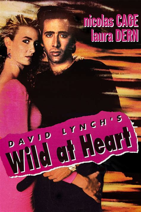 Wild at Heart Pictures - Rotten Tomatoes