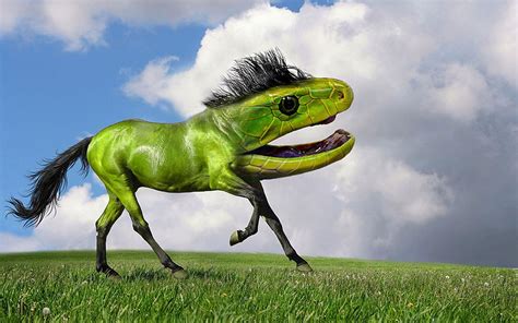 Arne Olaf's Photoshop hybrid animals