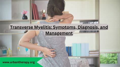 Transverse Myelitis: Symptoms, Diagnosis, and Management