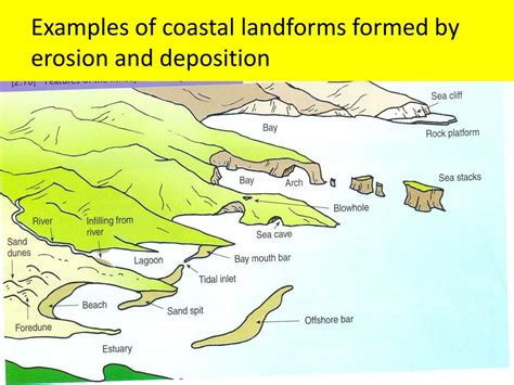 PPT - Coastal Processes, Patterns and Landforms PowerPoint Presentation - ID:6150557