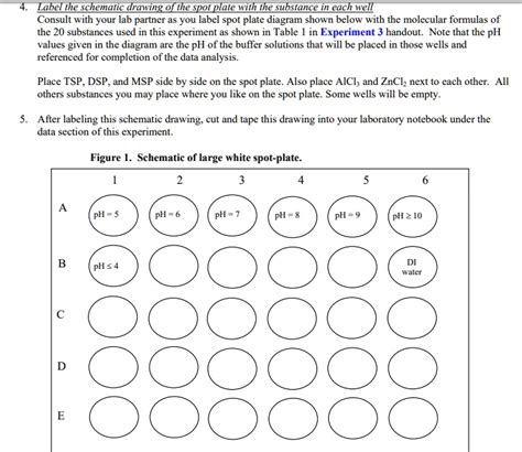 SOLVED: Text: Label the schematic drawing of the spot plate with the ...