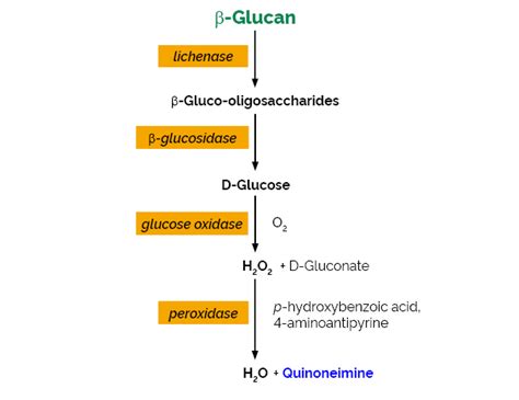 Beta-Glucan Assay Kit - Mixed Linkage glucan in cereal grains | Megazyme