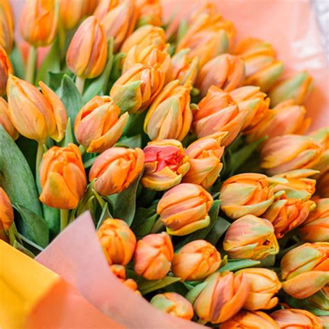 Orange Tulips Bouquet | Tulip Arrangements Near You | Oman