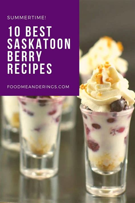 I have rounded up the 10 best Saskatoon Berry Recipes for you to make this summer! Everything ...