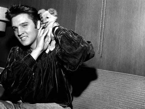 15 Best Elvis Presley Songs of All Time, Ranked | Work + Money