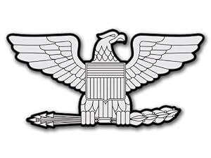 Amazon.com: RANK Colonel EAGLE Shaped Sticker (silver insignia decal): Automotive