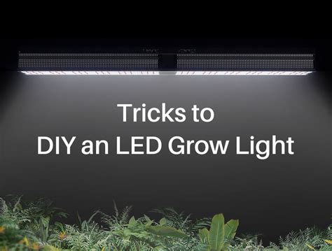 Things You Don't Know When DIY LED Grow Lights