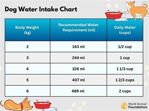 Dog Water Intake Calculator For Healthy Hydration For Pups