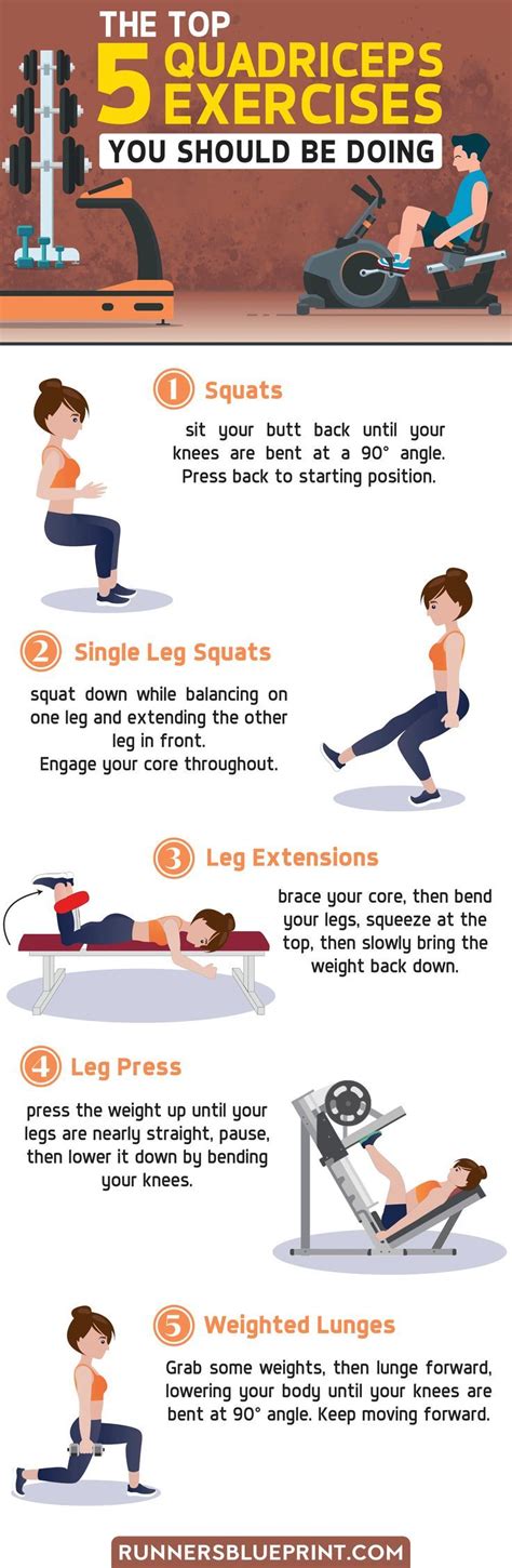 The Top 5 Quadriceps Exercises You Should Be Doing [INFOGRAPHIC ...