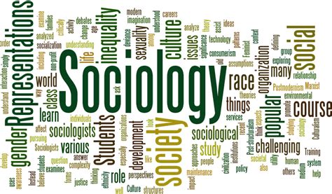 Why Is Studying Sociology Important for Society? | Sociology, Medical knowledge, Social science