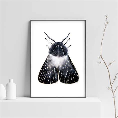 Magical Moth Print Moth Poster Insect Wall Art Print black | Etsy