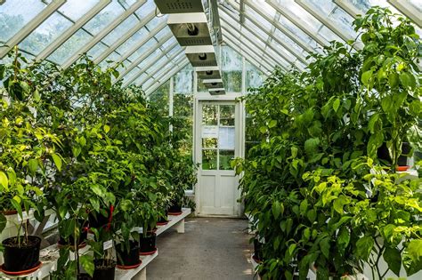 Georgia Greenhouses