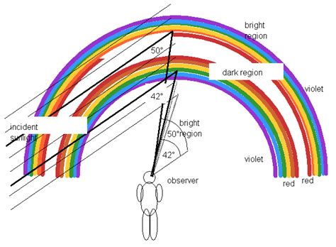 Figure 17.13 A secondary rainbow has an angular radius of 50 o and the colors in it are reversed ...