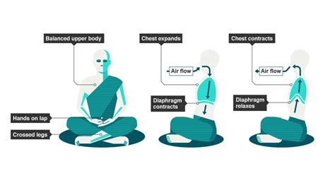 Diaphragmatic breathing for better meditation and mindfulness | by Renato (English profile ...