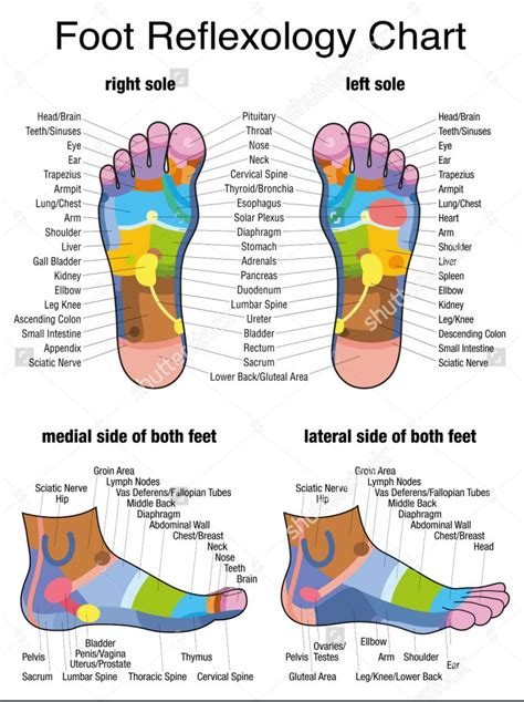 Benefits of Reflexology-Health Benefits of reflexology:SOLSTICE R&R