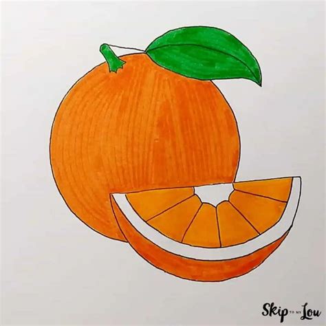 Orange Drawing | Skip To My Lou | Fruits drawing, Drawings, Easy drawings