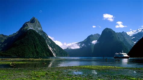 milford sound scenic cruise new zealand )