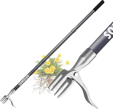 Best Hand Tool for Weeding - Back Gardener