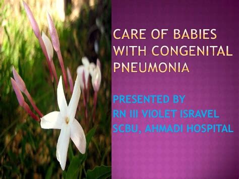 congenital pneumonia