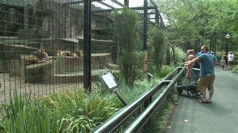 Potawatomi Zoo officials explain contribution to conservation