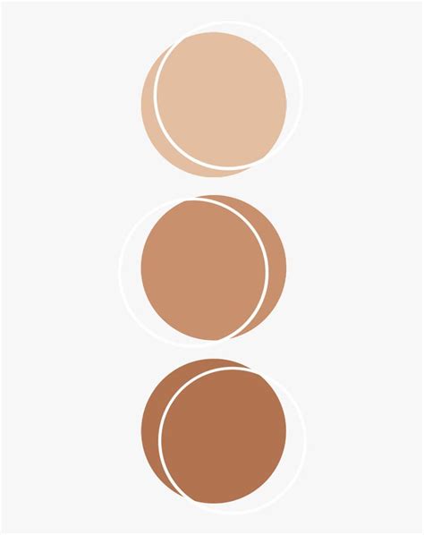 #color #brown #palette #anatomy #aesthetic #kpop - Aesthetic Color Palette Circle, HD Png ...