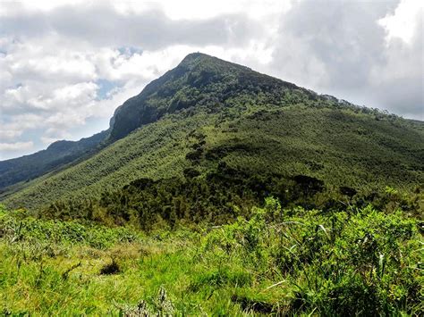 Hiking Trails in Aberdare Range | Aberdare National Park