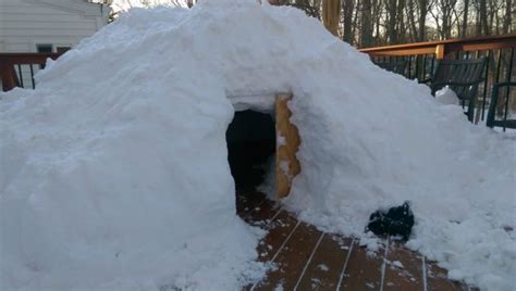 During The Storm, They Built An Igloo. When You See The Inside, Your ...