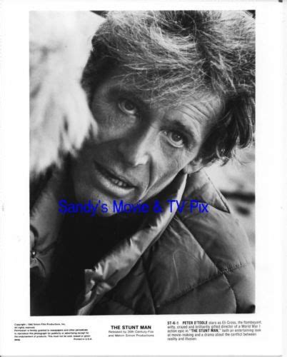 PETER O'TOOLE Terrific Original Movie Photo THE STUNT MAN | eBay | Movie photo, Original movie ...