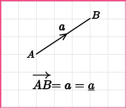 Vector Notation - GCSE Maths - Steps, Examples & Worksheet