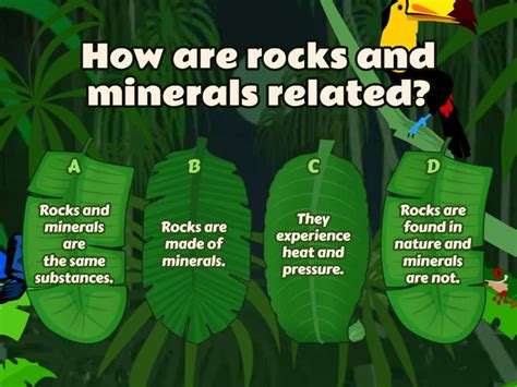 Rocks and Minerals Test - Quiz