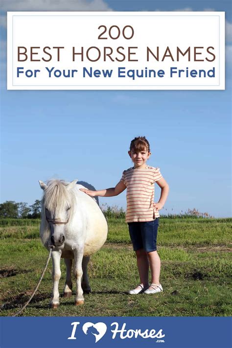 200 Horse Names For Your New Equine Friend