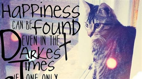 11 Inspiring Quotes to Help You Get Through Friday. With Cats | Glamour