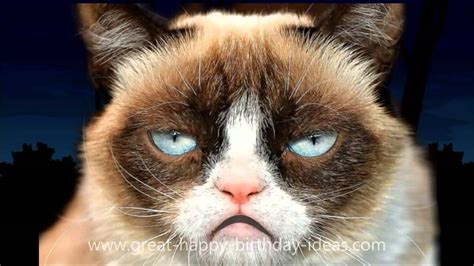 Grumpy Cat Happy Birthday Song - YouTube