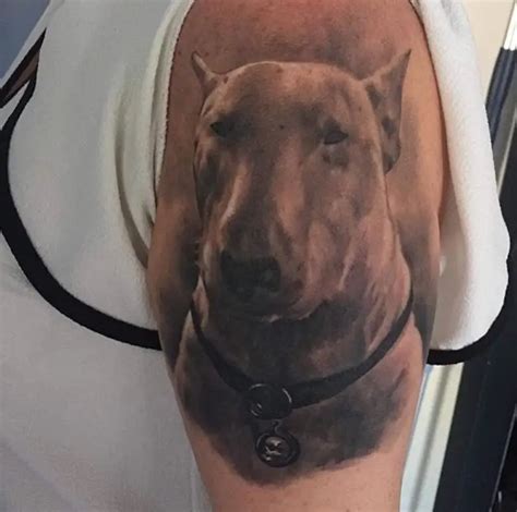 25 Best Bull Terrier Tattoo Designs - The Paws