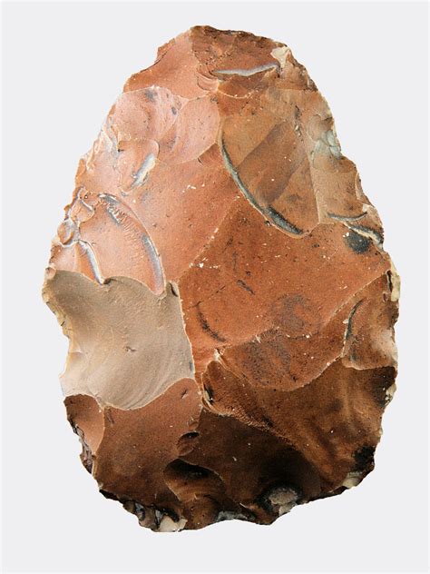 Oviform flint hand-axe with part of the cortex remaining on one side ...