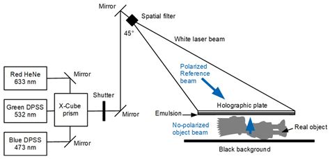 Evaluation of the realism of a full-color reflection H2 analog hologram ...