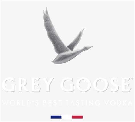 Grey Goose Png Logo - Grey Goose Logo Png PNG Image | Transparent PNG Free Download on SeekPNG