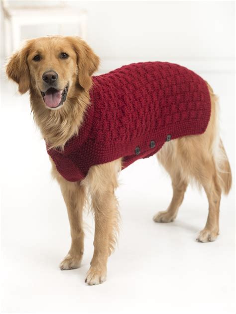 Easy Tips for Crochet Greyhound Sweater Pattern 10 Stunning Examples Of Beautiful Fall Dog ...