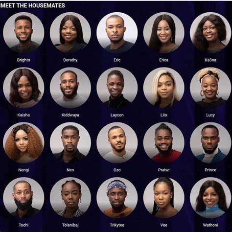 BBNaija 2020: Meet 20 'Lockdown’ housemates - Daily Post Nigeria