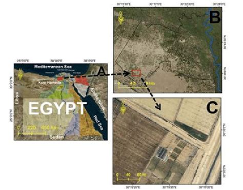 Location of Agricultural Research Station, NRC. Egypt (A), western ...