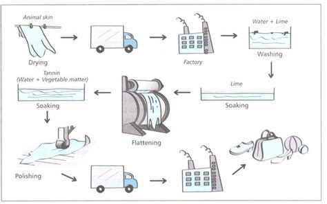 IELTS Essay Task 1: Leather Process | How to do IELTS