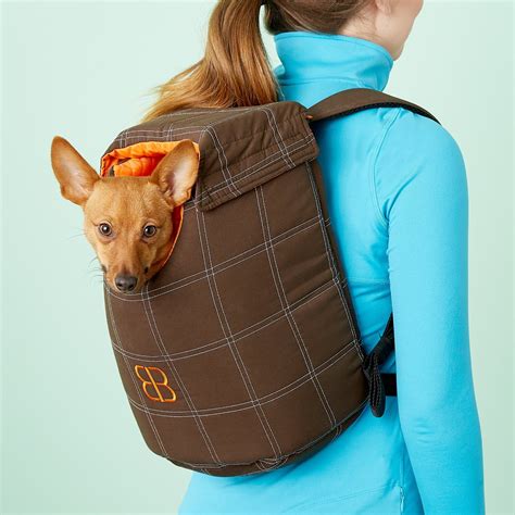 Petego Lenis Backpack Pet Carrier, Large - Chewy.com