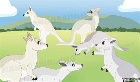 6 white boomers - I drew the kangaroos from the six white boomers song ...