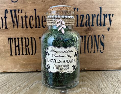 Devils Snare Harry Potter potions ingredient bottles | Etsy