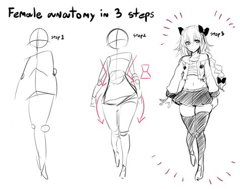 Female anatomy in 3 steps | How To Draw an Owl | Know Your Meme