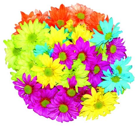 Crazy Daisy Bouquet - Yellow / Orange / Blue / Purple, 9 stems - Kroger