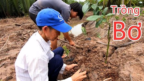 Cậu Năm Và Bình Tồn Trồng Cây Ăn Trái| My Uncle and Binh Ton Growing Fruit Trees - YouTube